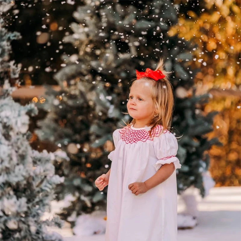 Infant Baby Girl Valentine’s Day Dress – White Lace Short Sleeve Party Dress with Red Embroidery
