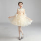 Girls Princess Party Dress – Elegant Children’s Evening & Host Dress