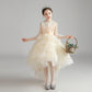 Girls Princess Party Dress – Elegant Children’s Evening & Host Dress