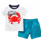 Boys Summer Clothes Set – Lightweight Children’s Suits & Casual Kids Outfits