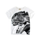 Boys' Summer Short Sleeve T-Shirt – Lightweight Kids Tee